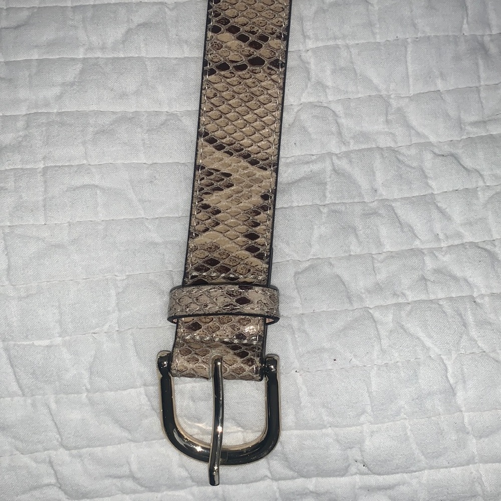 H&M snake skin belt size US xs